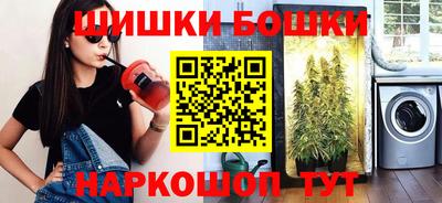 шишки Дубна