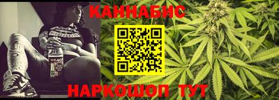 шишки Дубна