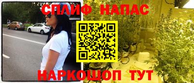 шишки Дубна