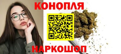 шишки Дубна