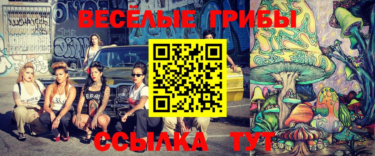 Псилоцибиновые грибы Cubensis  Вход с VPN  Качканар 