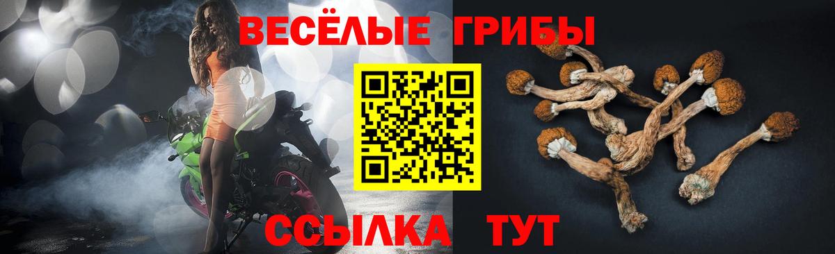 Галлюциногенные грибы мухоморы Качканар